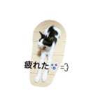 むふみぃた（個別スタンプ：5）