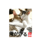 むふみぃた（個別スタンプ：8）