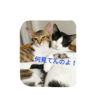 むふみぃた（個別スタンプ：14）
