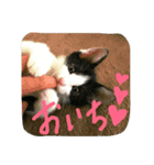 むふみぃた（個別スタンプ：16）