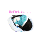 るかかんたまぐろだワン！！（個別スタンプ：9）