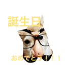 るかかんたまぐろだワン！！（個別スタンプ：14）