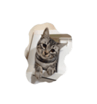 loux（個別スタンプ：3）