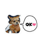 coco417（個別スタンプ：4）