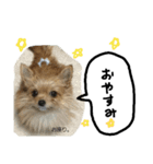 coco417（個別スタンプ：8）