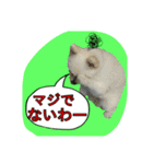 めろんちゃんの一言（個別スタンプ：34）