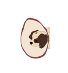 キャバリアのアンディ（個別スタンプ：7）