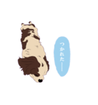キャバリアのアンディ（個別スタンプ：8）