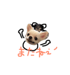 tamtann（個別スタンプ：3）