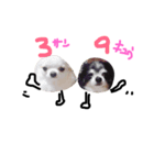 tamtann（個別スタンプ：4）