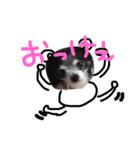 tamtann（個別スタンプ：5）