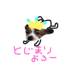 tamtann（個別スタンプ：8）