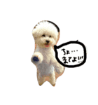 もずしず（個別スタンプ：1）