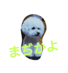 もずしず（個別スタンプ：6）
