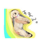 モカすたんぷ 1（個別スタンプ：11）