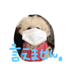 モカすたんぷ 1（個別スタンプ：12）