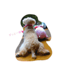 モカすたんぷ 1（個別スタンプ：14）