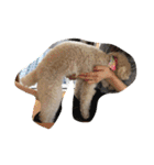 モカすたんぷ 1（個別スタンプ：23）