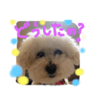 モカすたんぷ 1（個別スタンプ：26）