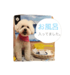モカすたんぷ 1（個別スタンプ：28）