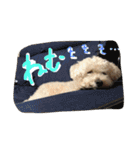 モカすたんぷ 1（個別スタンプ：30）