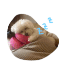 モカすたんぷ 1（個別スタンプ：31）