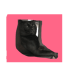 猫太と虎太（個別スタンプ：8）