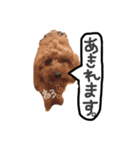 わんころ大集合（個別スタンプ：3）