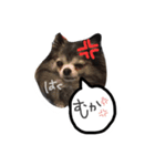 わんころ大集合（個別スタンプ：4）