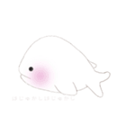 ベルーガさん。（個別スタンプ：20）