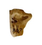 dog hello（個別スタンプ：5）