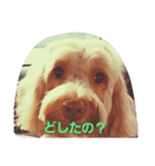 ティンセル（個別スタンプ：8）