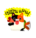 TRIPPO THE VOYAGER CAT（個別スタンプ：25）