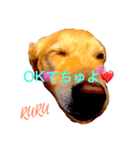 GO！GO！ルーちゃん！（個別スタンプ：1）