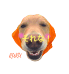 GO！GO！ルーちゃん！（個別スタンプ：3）
