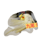 我が家のおーちゃん（個別スタンプ：7）