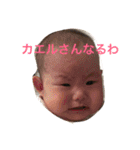 お金チョーダイ（個別スタンプ：15）