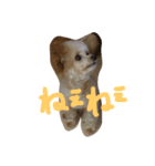 一生懸命ちわぷー2（個別スタンプ：15）