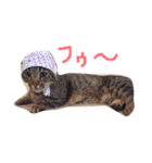 ねこのチョコ（個別スタンプ：9）