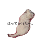 wanri（個別スタンプ：2）