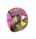 chiwa＆yo-chiwa.family2（個別スタンプ：5）