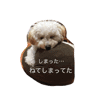 OUTA_ビションプー（個別スタンプ：11）