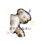 OUTA_ビションプー（個別スタンプ：14）