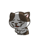 Miumiu the mix cat's daily life（個別スタンプ：9）