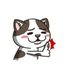 Miumiu the mix cat's daily life（個別スタンプ：15）