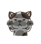 Miumiu the mix cat's daily life（個別スタンプ：38）