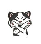 Momo the mix cat's daily life（個別スタンプ：4）