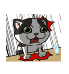 Momo the mix cat's daily life（個別スタンプ：17）