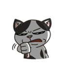 Momo the mix cat's daily life（個別スタンプ：37）