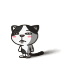 Momo the mix cat's daily life（個別スタンプ：40）